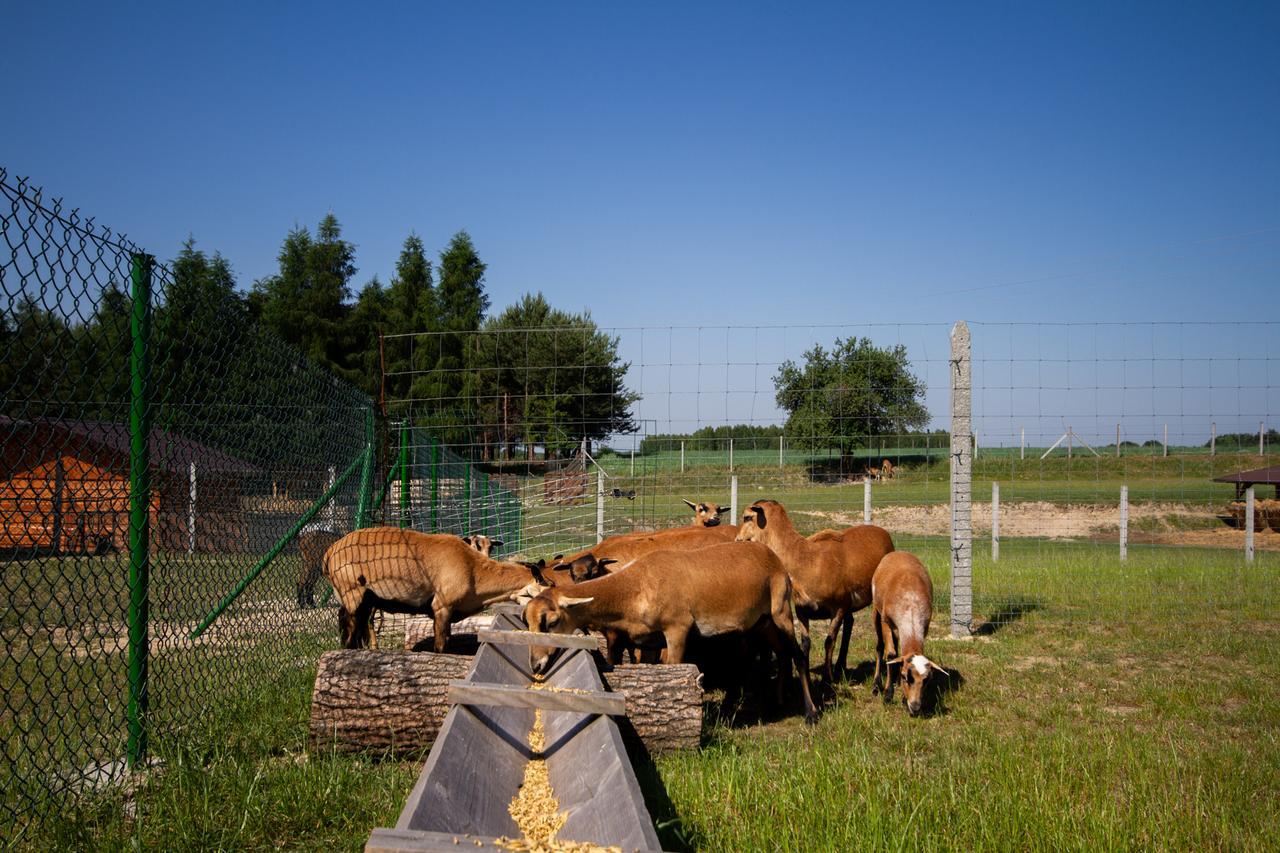 Zagroda Nad Kotelnia Pawlowa Exterior foto