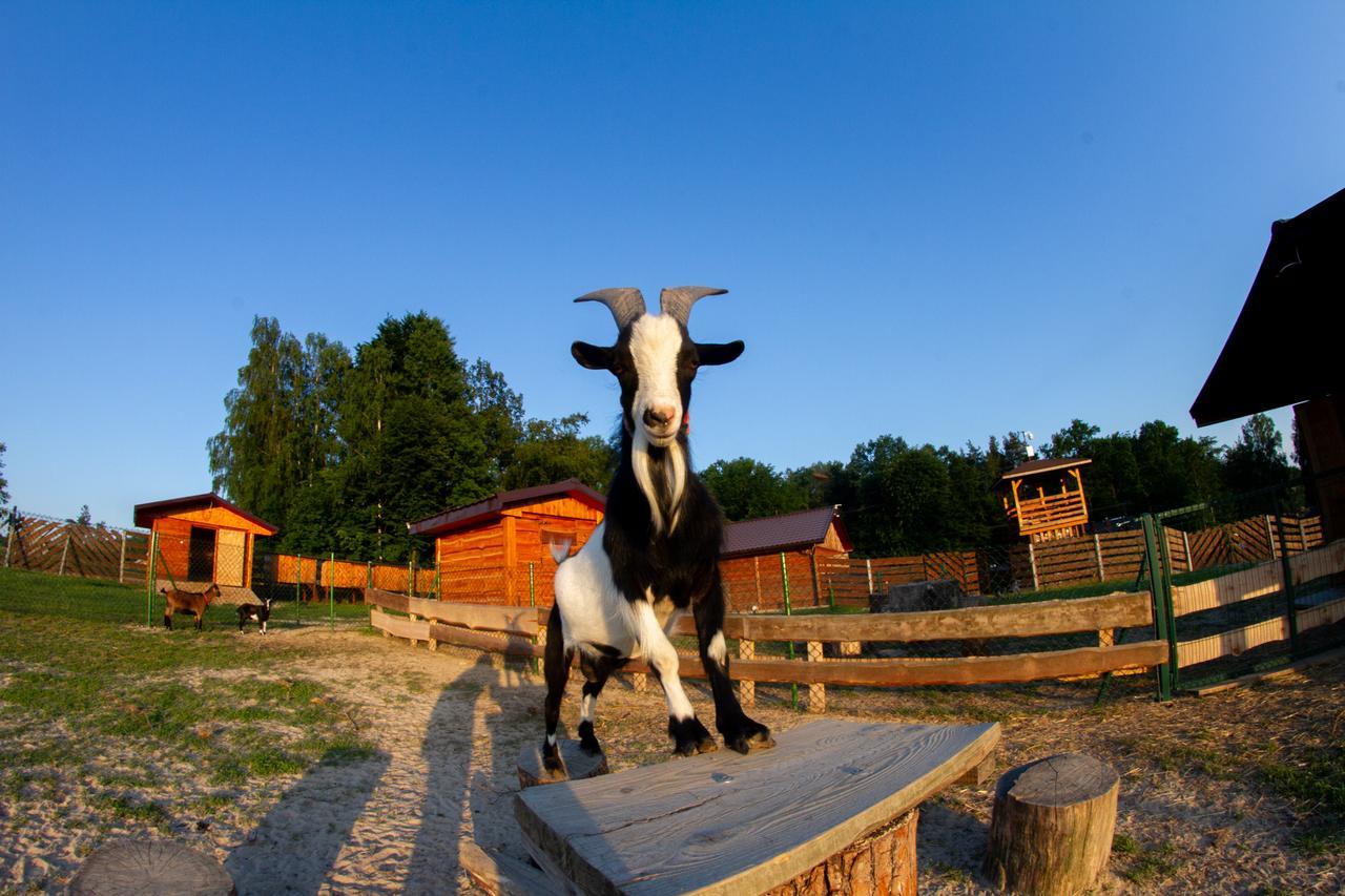 Zagroda Nad Kotelnia Pawlowa Exterior foto